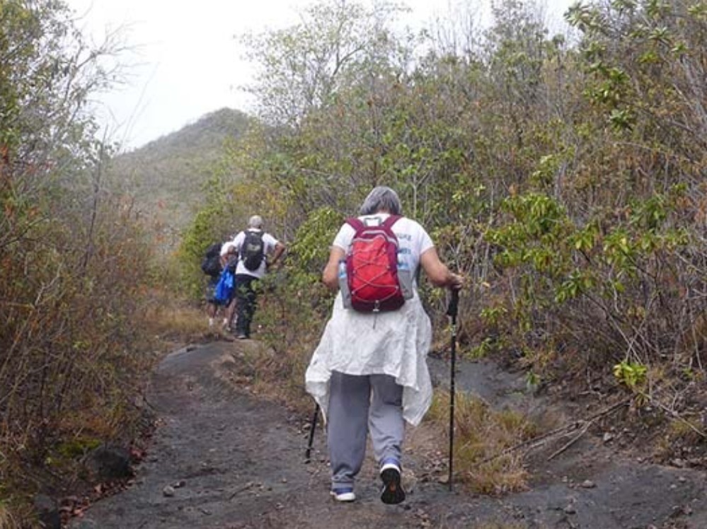 Morne clochette